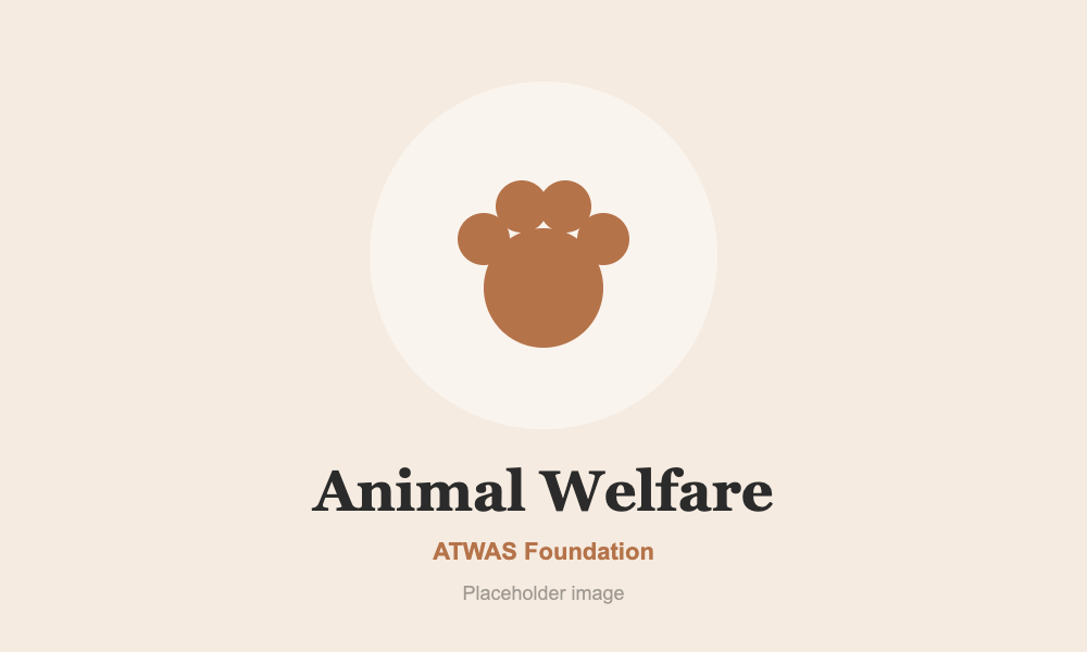 Animal Welfare placeholder image